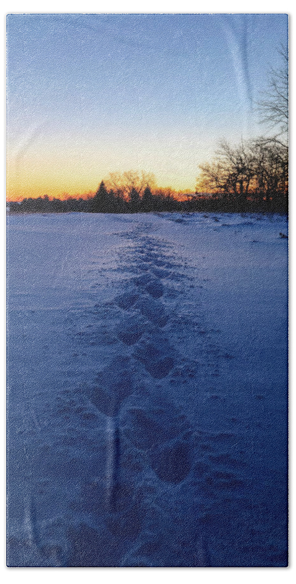 Winter Morning Footsteps Beach Towel featuring the photograph Winter Morning Footsteps by Dan Sproul