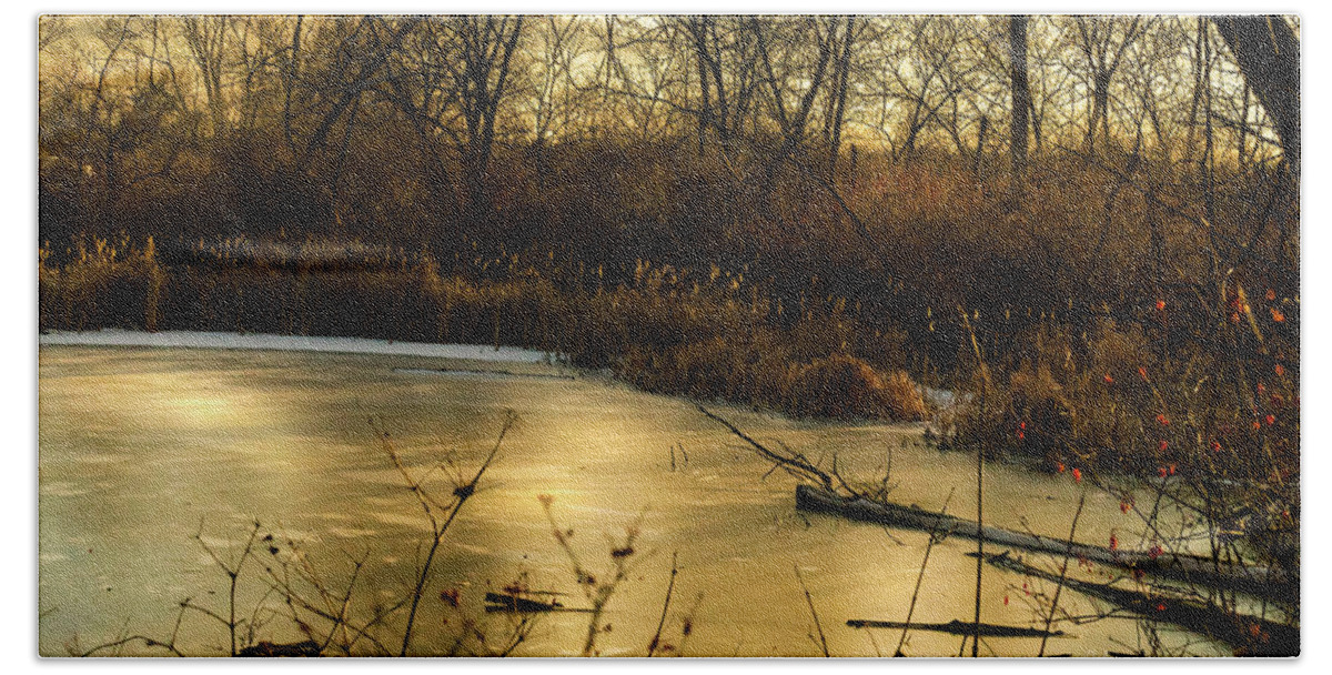 _dsc4532 Beach Towel featuring the photograph Winter Pond by Ed Peterson