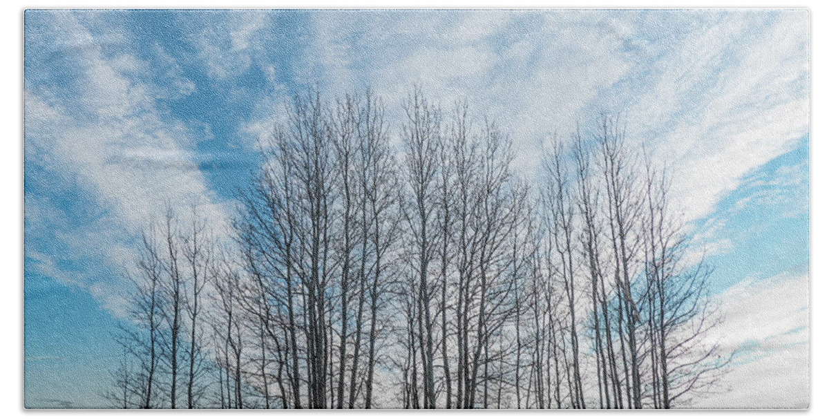 Sky Beach Towel featuring the photograph Winter poplar bluff and sky by Karen Rispin