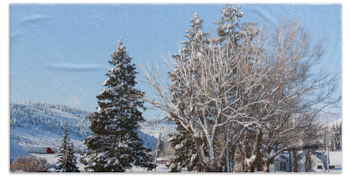 Winter Beach Sheet featuring the photograph Winter scene in Spencer Idaho by Tatiana Travelways