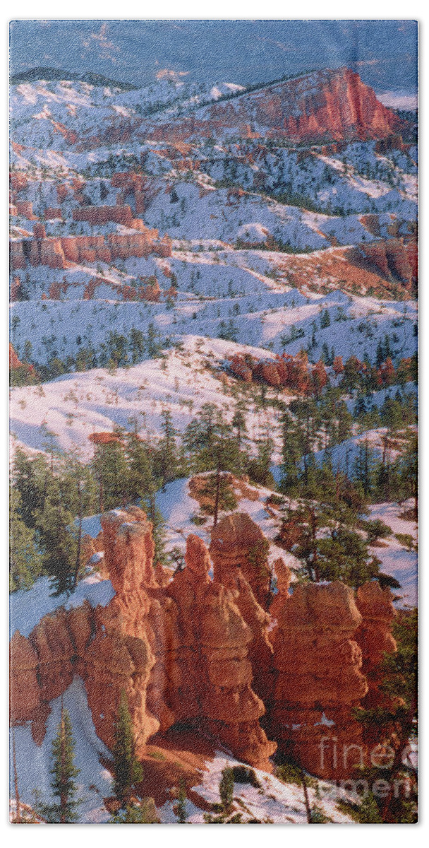 Dave Welling Beach Towel featuring the photograph Winter Sunrise Bryce Canyon National Park by Dave Welling