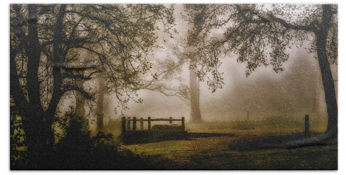 Woods Beach Towel featuring the photograph Wistful Woodland by Chris Boulton