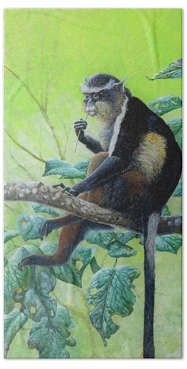 Wolf's Guenon Beach Towel featuring the painting Wolf's Guenon by Barry Kent MacKay