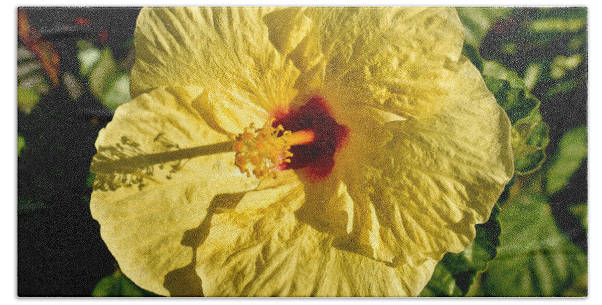 Hawaii Beach Towel featuring the photograph Yellow Hibiscus Perfection Hawaii by Gary F Richards