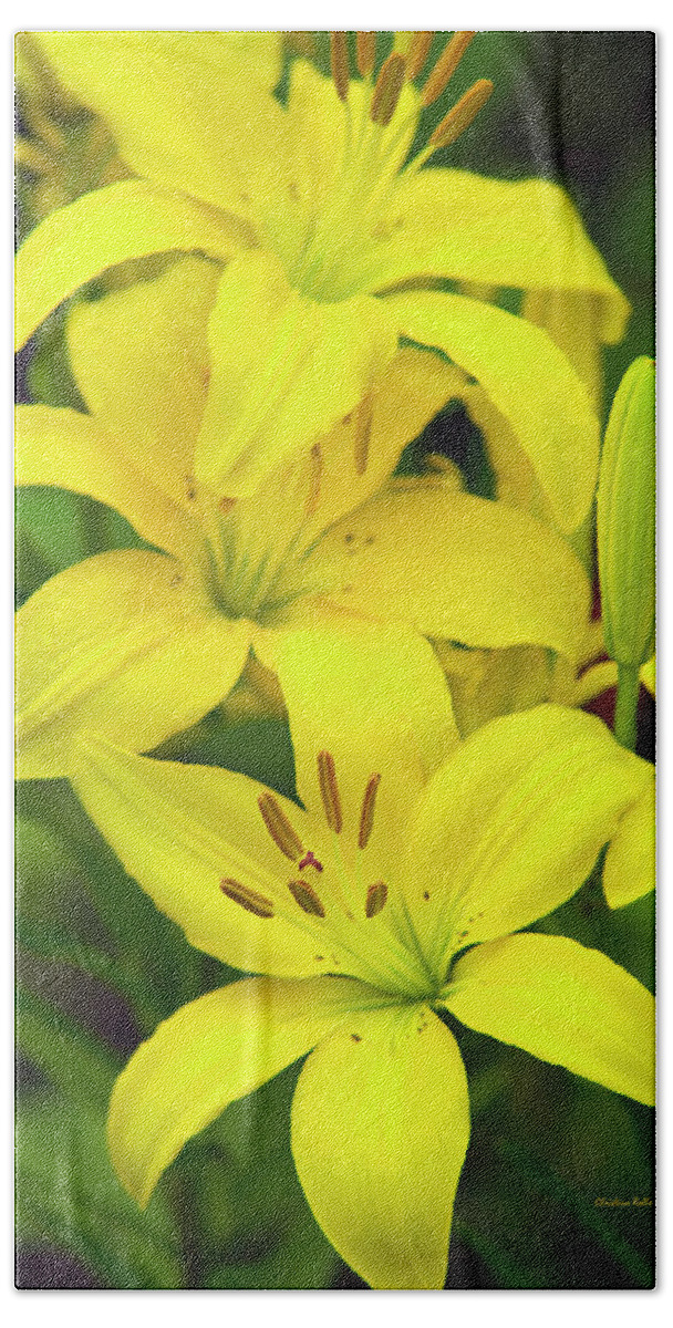 Flowers Beach Towel featuring the photograph Yellow Lilies by Christina Rollo