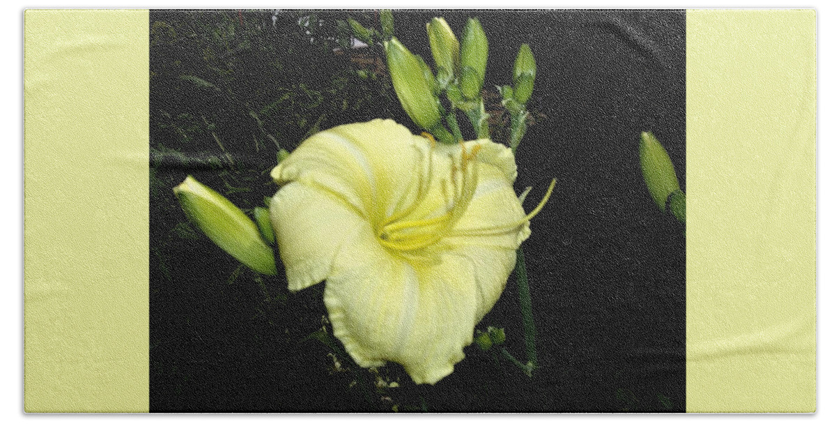 Lily Beach Towel featuring the photograph Yellow Lily by Nancy Ayanna Wyatt