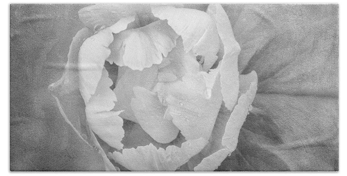 Peony Beach Towel featuring the photograph Yellow Peony BW by Susan Candelario