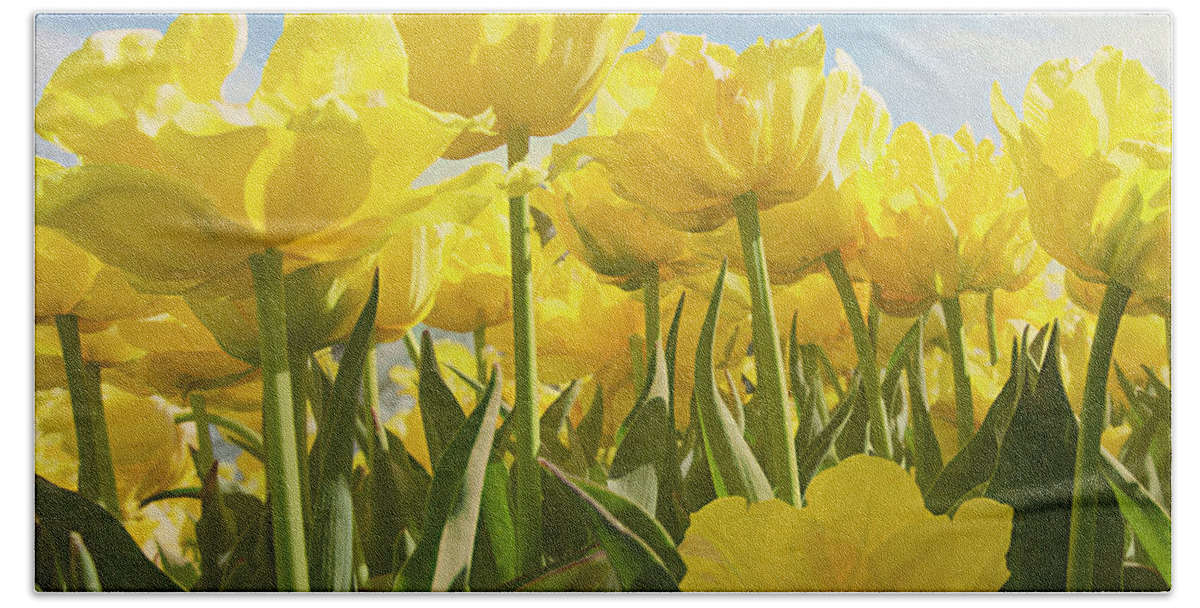Yellow Tulips Beach Towel featuring the photograph Yellow Tulips by Steve Ladner