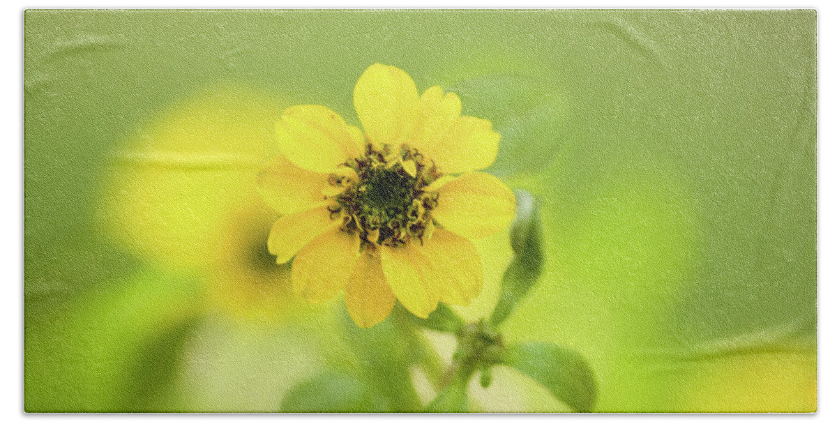 Color Beach Towel featuring the photograph Yellow Zinnias by Dorothy Lee