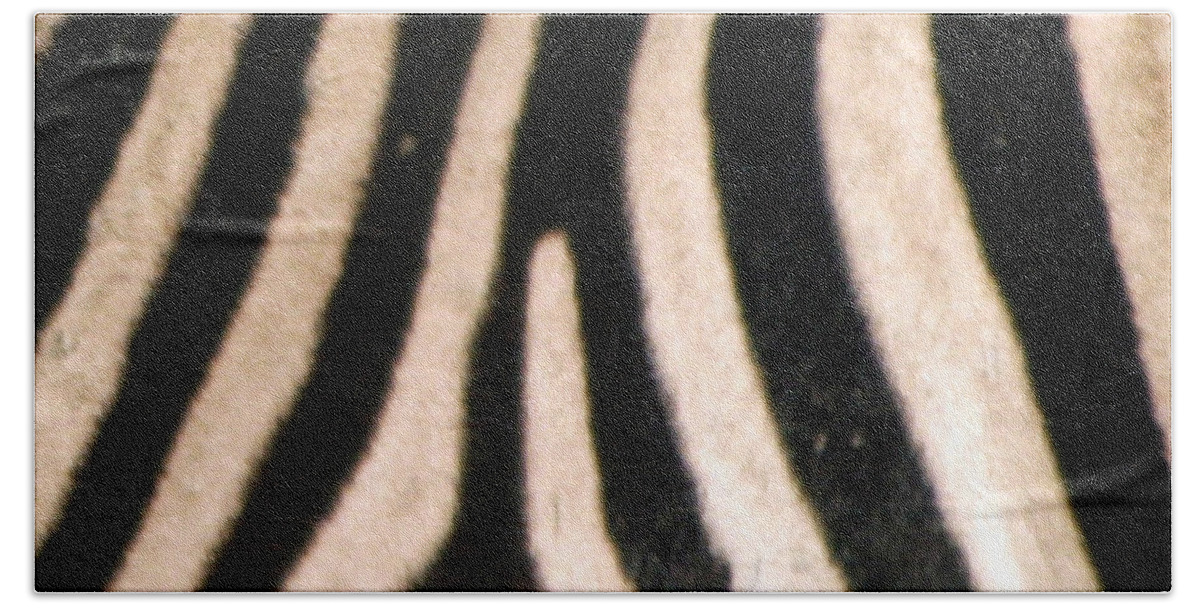 Zebra Beach Towel featuring the photograph Zebra Print by Karen Zuk Rosenblatt