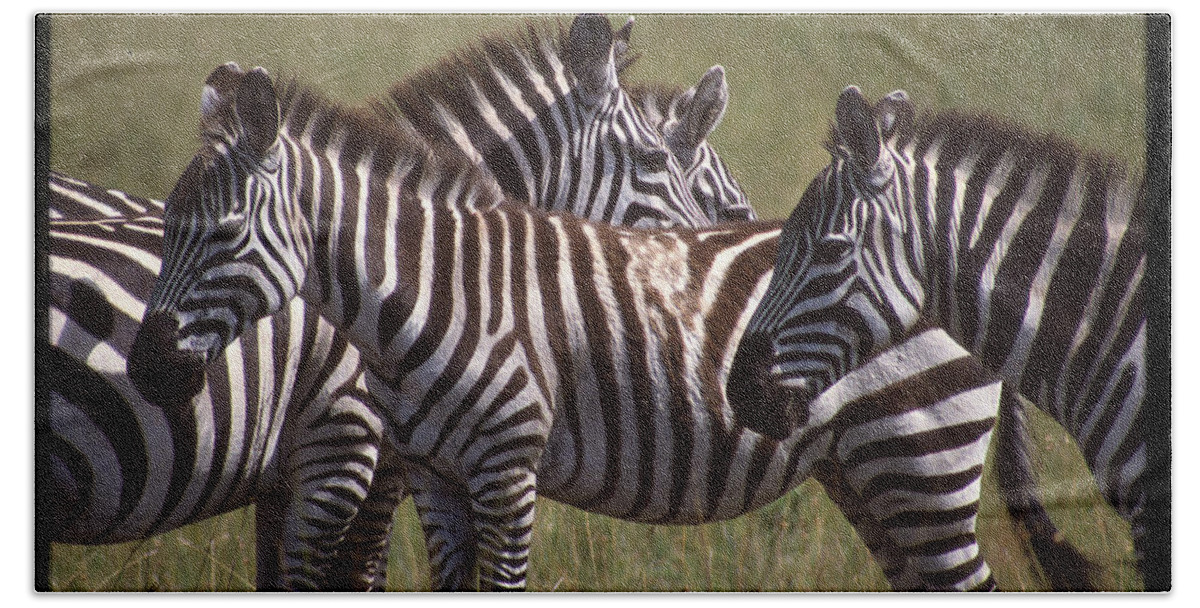 Africa Beach Towel featuring the photograph Zebras Look Alike by Russel Considine