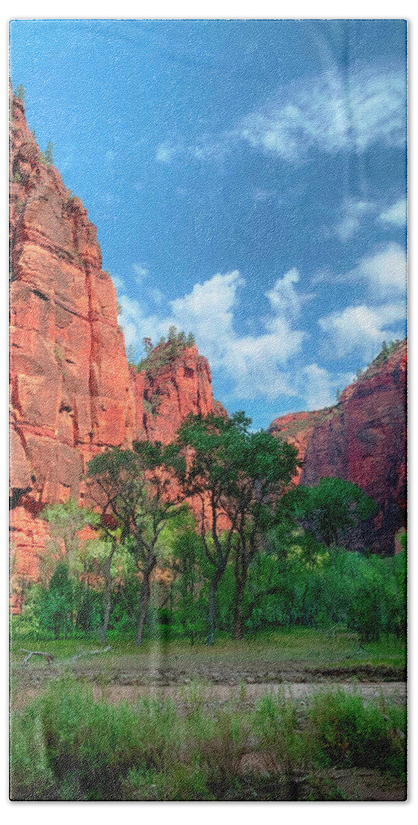 Photographs Beach Towel featuring the photograph Zion Virgin River Early Morning by John A Rodriguez