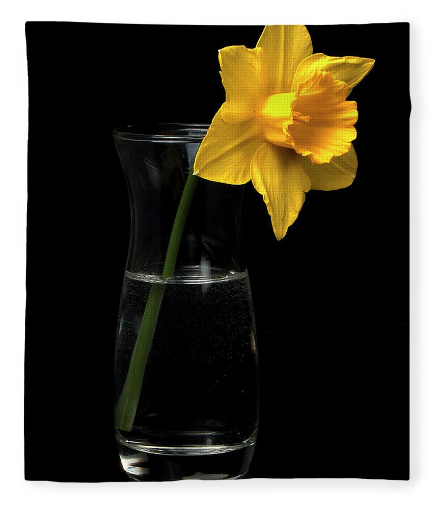 Natural Fleece Blanket featuring the photograph Daffodil by Ron Roberts