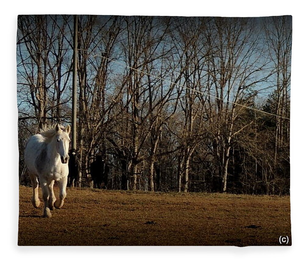 Horse Fleece Blanket featuring the photograph Hi by Rabiah Seminole