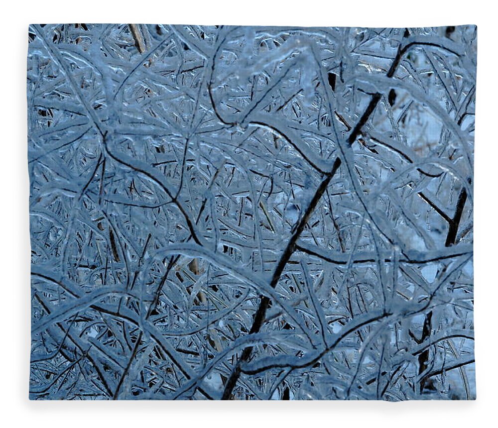 Ice Fleece Blanket featuring the photograph Vegetation After Ice Storm by Daniel Reed