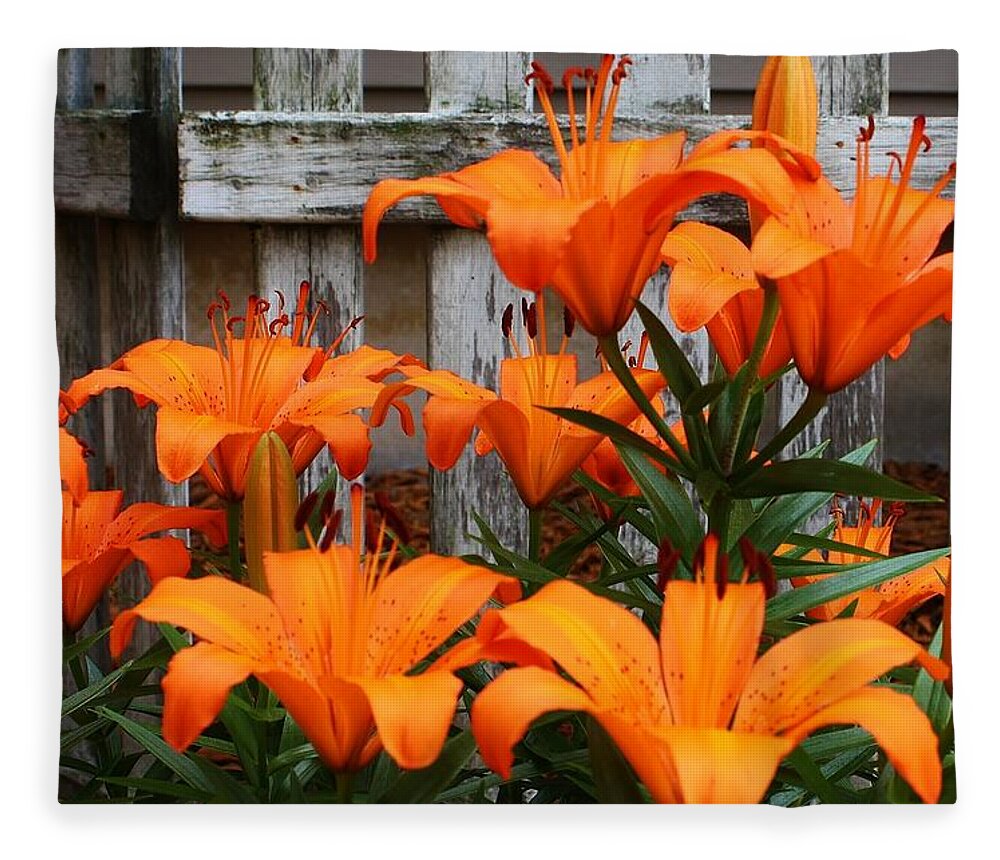 Flora Fleece Blanket featuring the photograph Afternoon Delight #1 by Bruce Bley