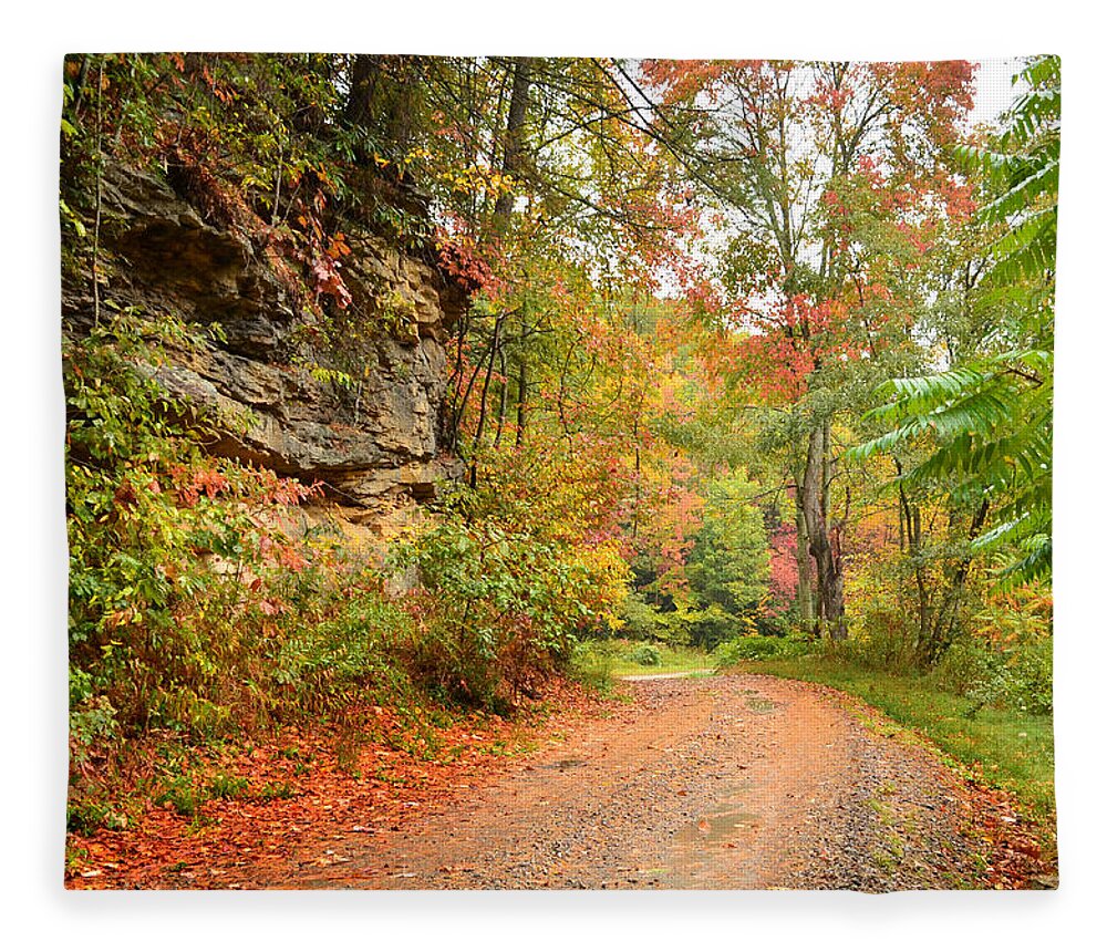Fall Fleece Blanket featuring the photograph Almost Home by Lisa Lambert-Shank