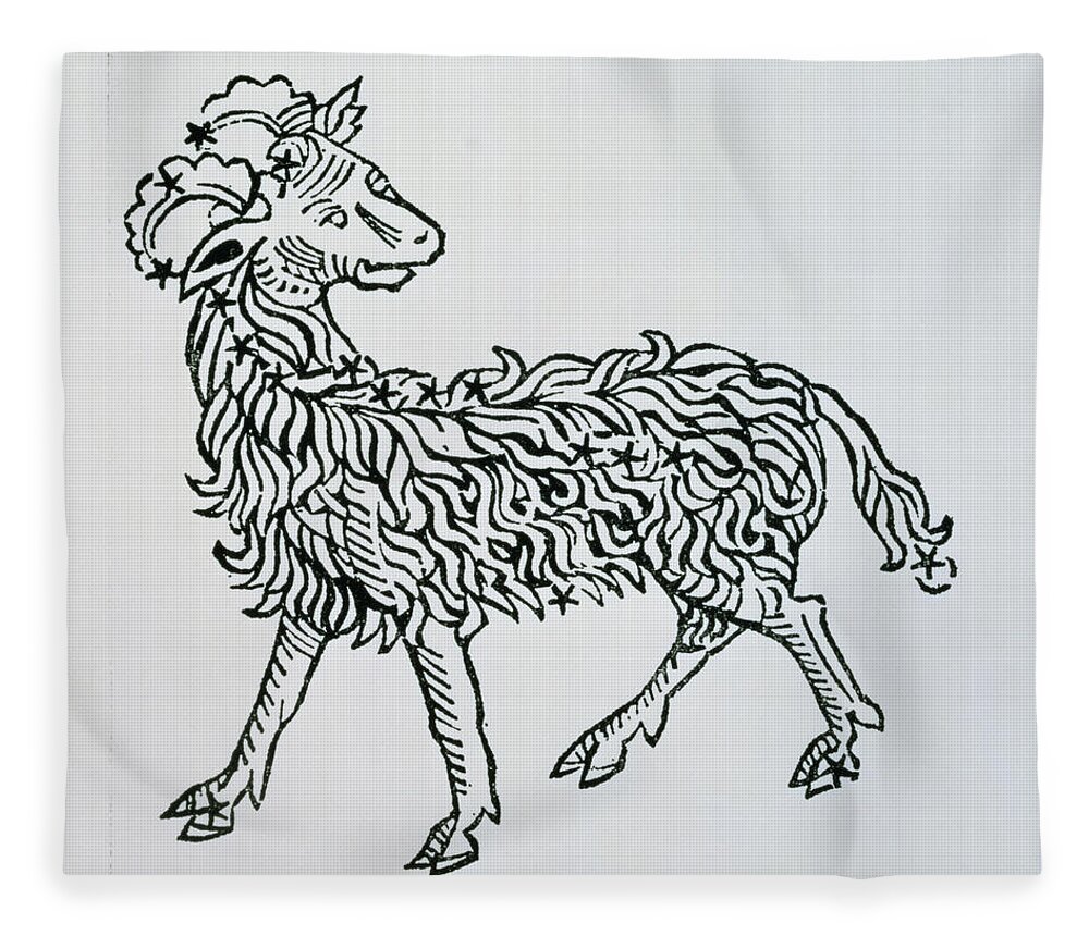 Astronomy Fleece Blanket featuring the painting Aries An Illustration From The Poeticon by Italian School