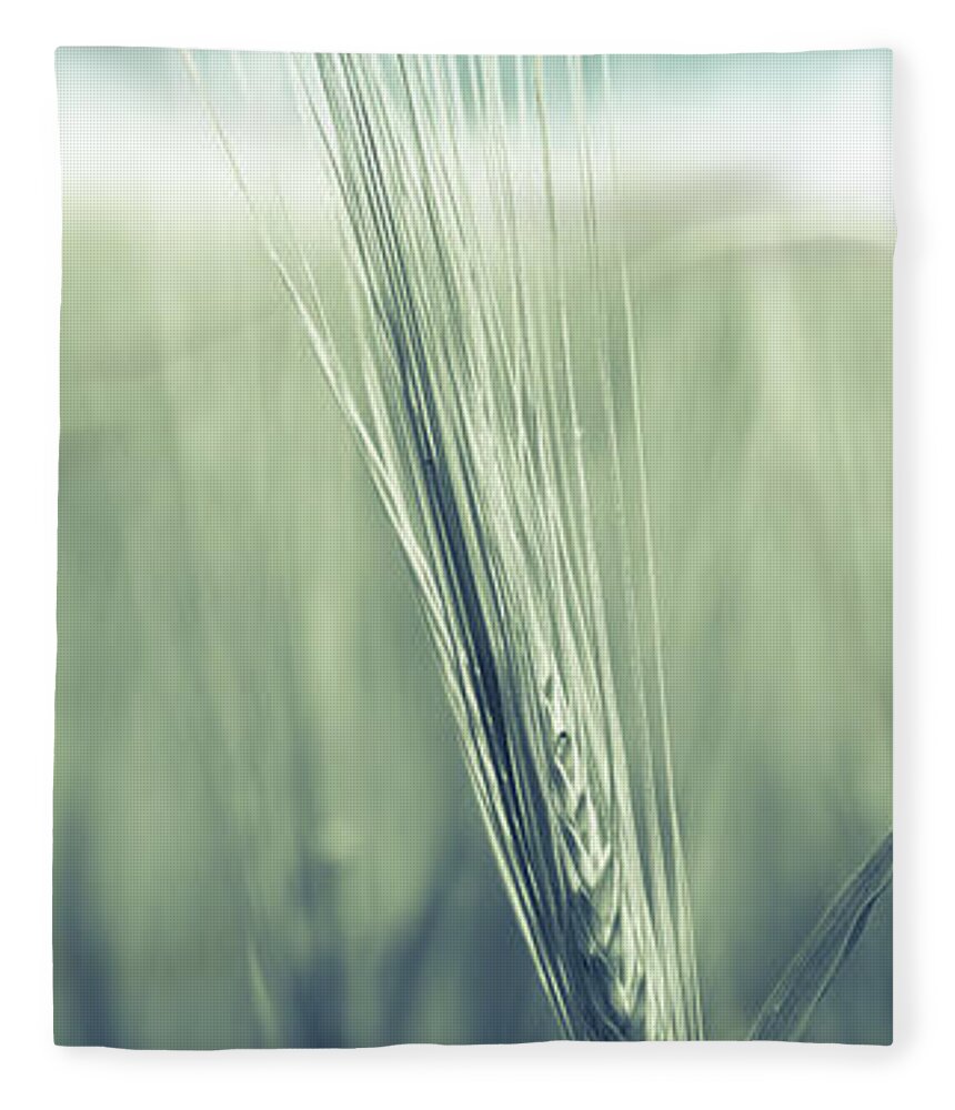1x3 Fleece Blanket featuring the photograph Barley #1 by Hannes Cmarits
