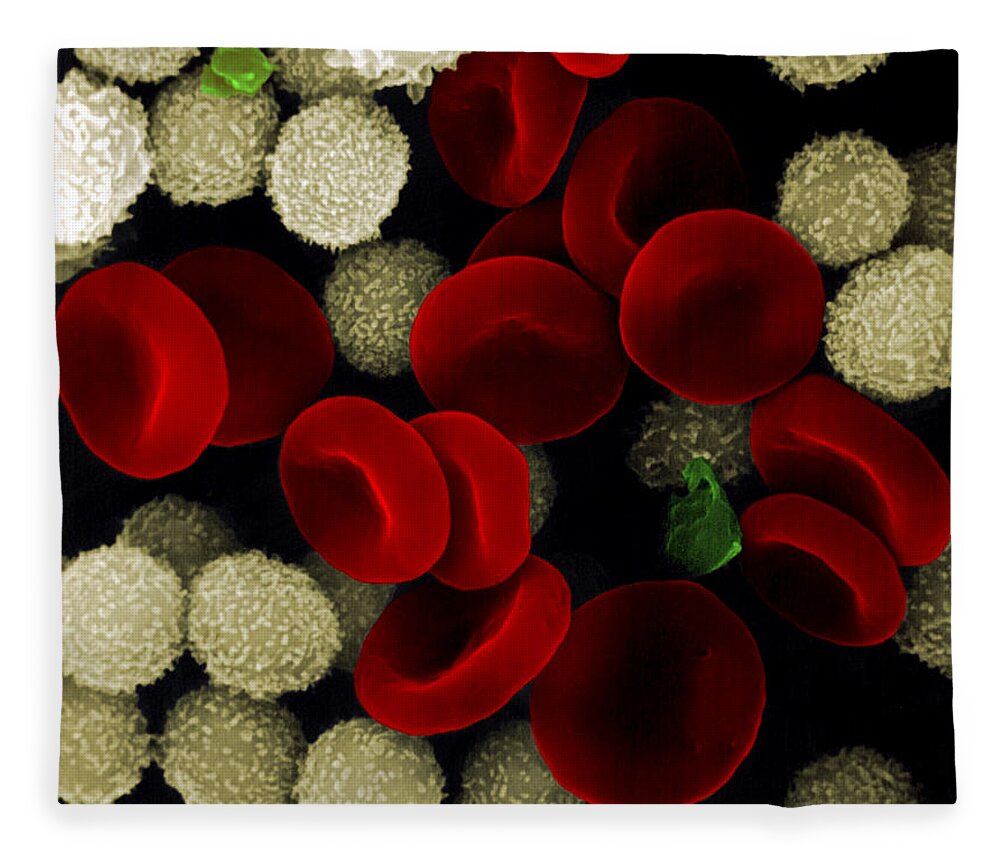 Leukocyte Fleece Blanket featuring the photograph Blood Cells by Stem Jems