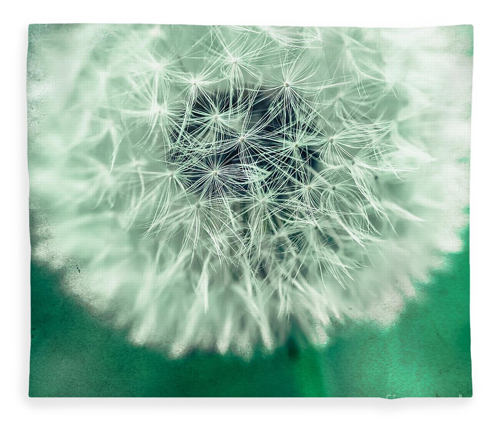1x1 Fleece Blanket featuring the photograph Blowball 1x1 by Hannes Cmarits