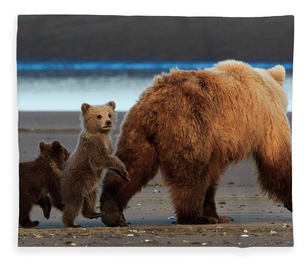 Brown Bear Fleece Blanket featuring the photograph Brown Bear Sow And Cubs, Lake Clark #1 by Mint Images/ Art Wolfe