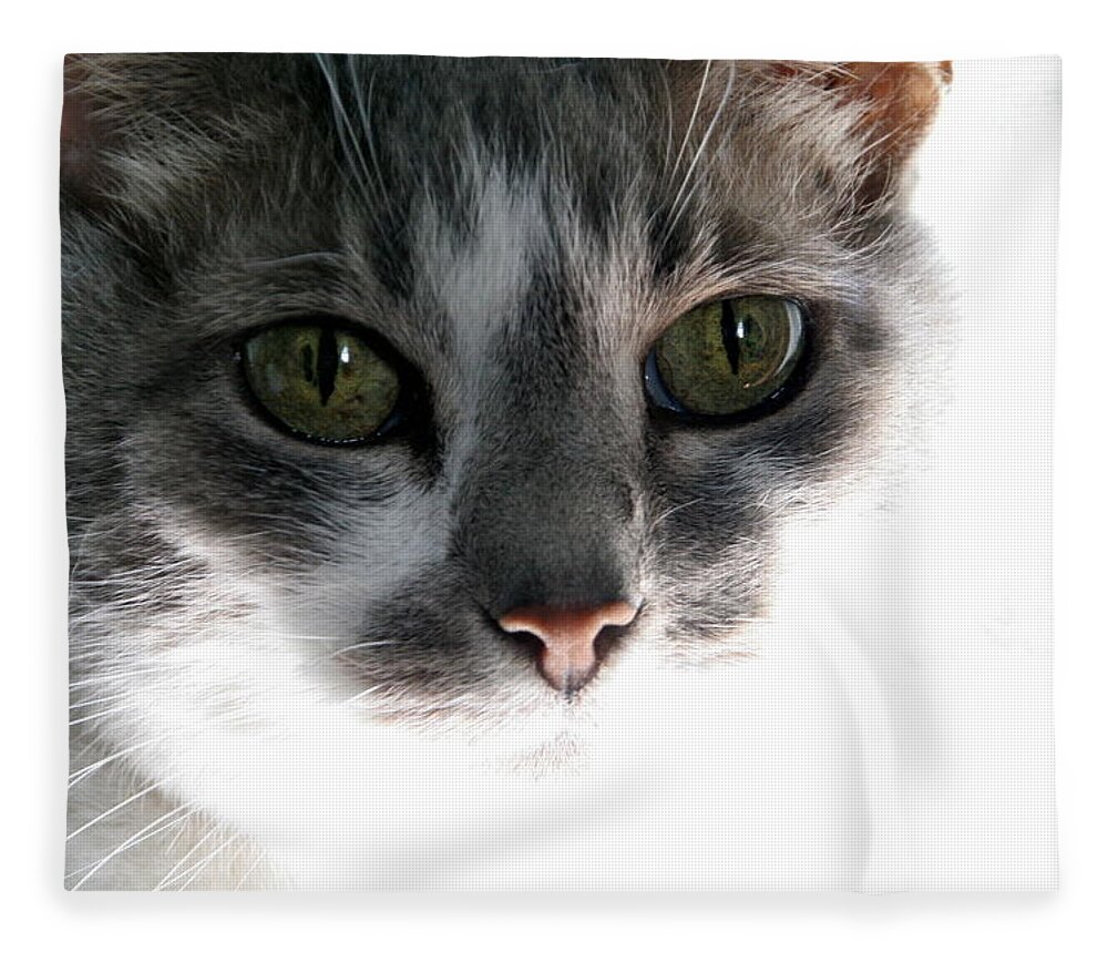 Feline Fleece Blanket featuring the photograph Gray Cat with Green Eyes by Valerie Collins