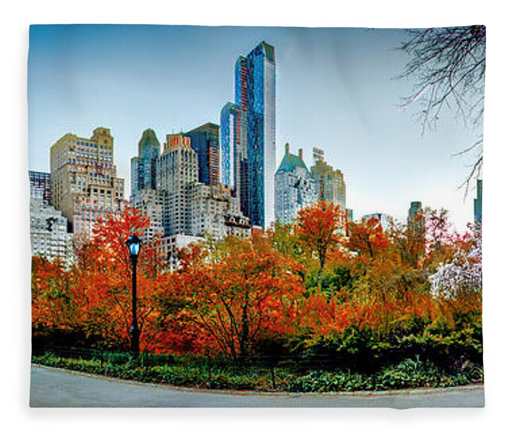 Central Park Fleece Blanket featuring the photograph Changing Of The Seasons by Az Jackson