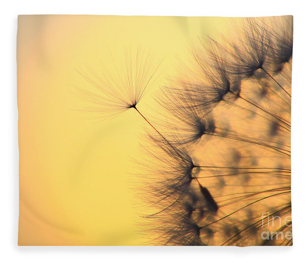 Common Dandelion Fleece Blanket featuring the photograph Dandelion Seeds #1 by Patrick Frischknecht