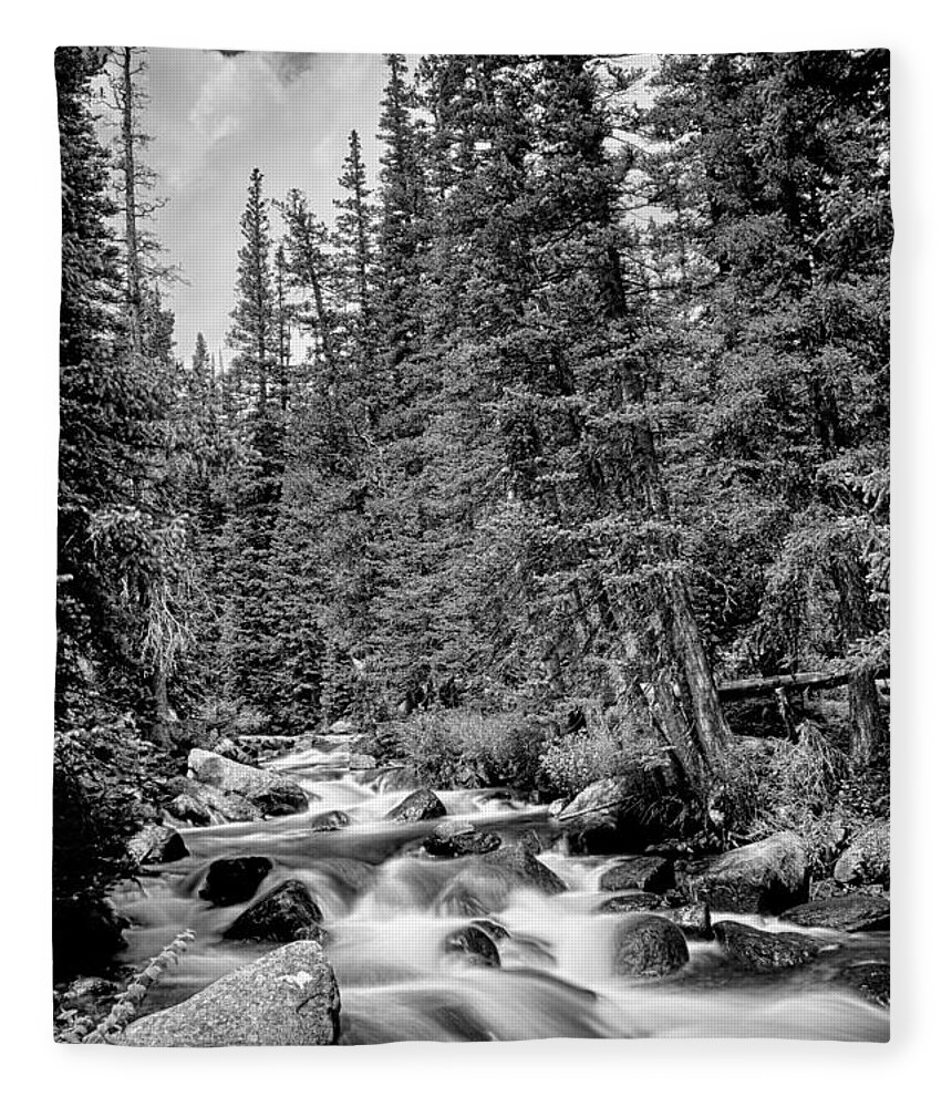 Mountain Stream Fleece Blanket featuring the photograph Forest Stream in Black and White #2 by James BO Insogna