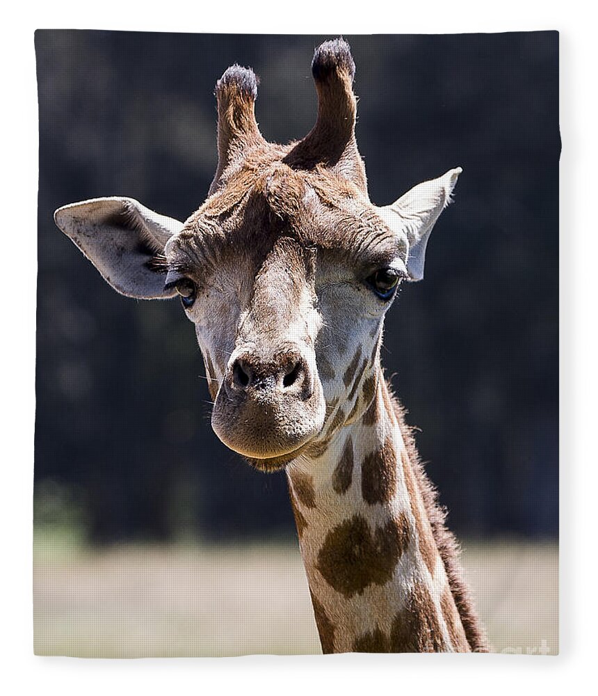 Animals Fleece Blanket featuring the photograph Giraffe #2 by Steven Ralser