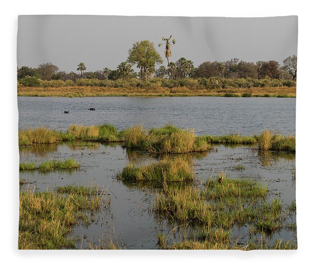 Photography Fleece Blanket featuring the photograph Hippopotamus Hippopotamus Amphibius #1 by Panoramic Images