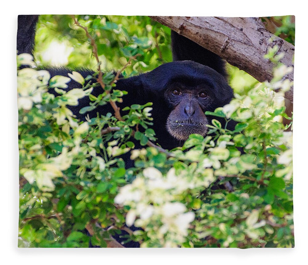 Monkey Fleece Blanket featuring the photograph I see you #1 by John Johnson