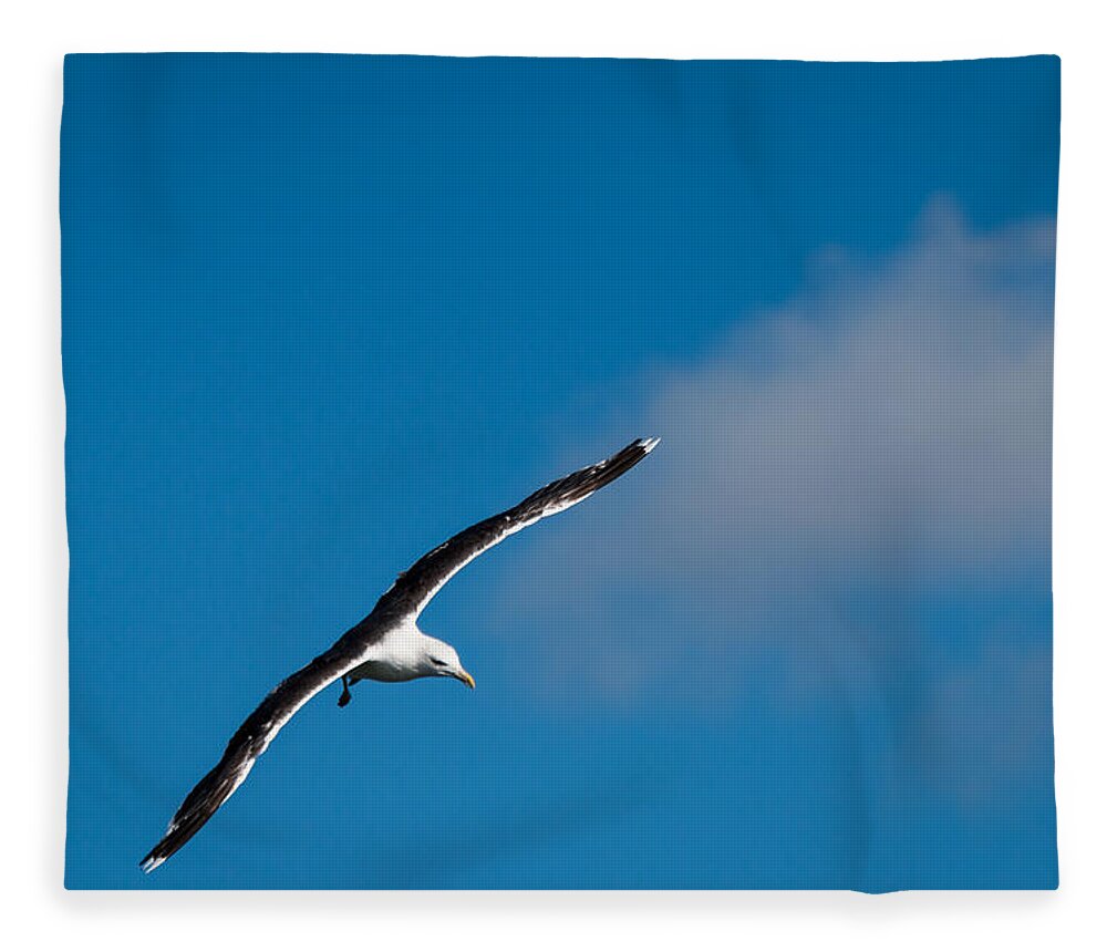 Bird Fleece Blanket featuring the photograph In Flight #1 by Gaurav Singh
