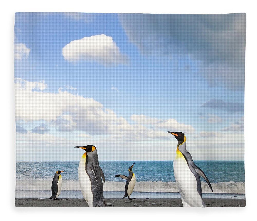 00345363 Fleece Blanket featuring the photograph King Penguin at Gold Harbour by Yva Momatiuk John Eastcott