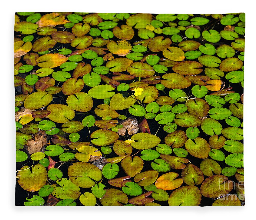 Lilly Pond Fleece Blanket featuring the photograph Lilly Pond #1 by Dale Powell