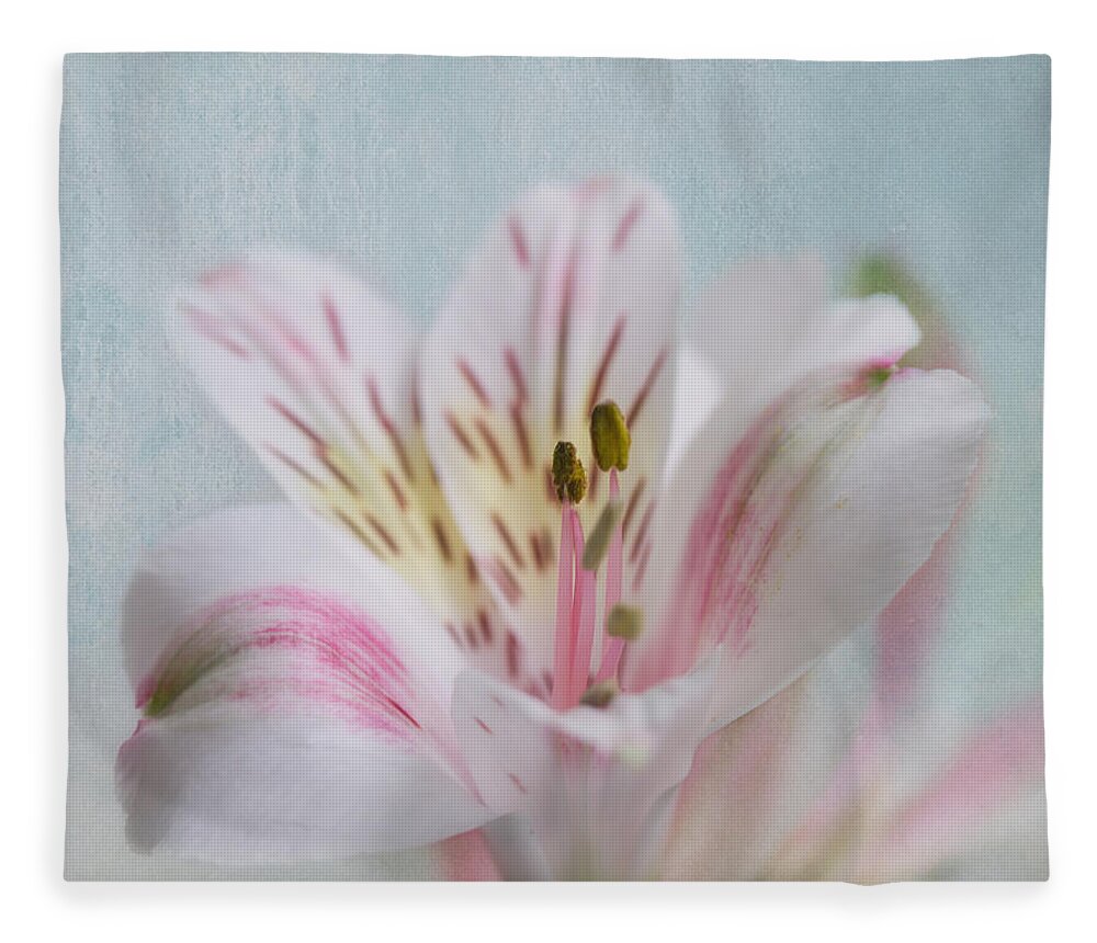 Flower Fleece Blanket featuring the photograph Love #1 by Kim Hojnacki