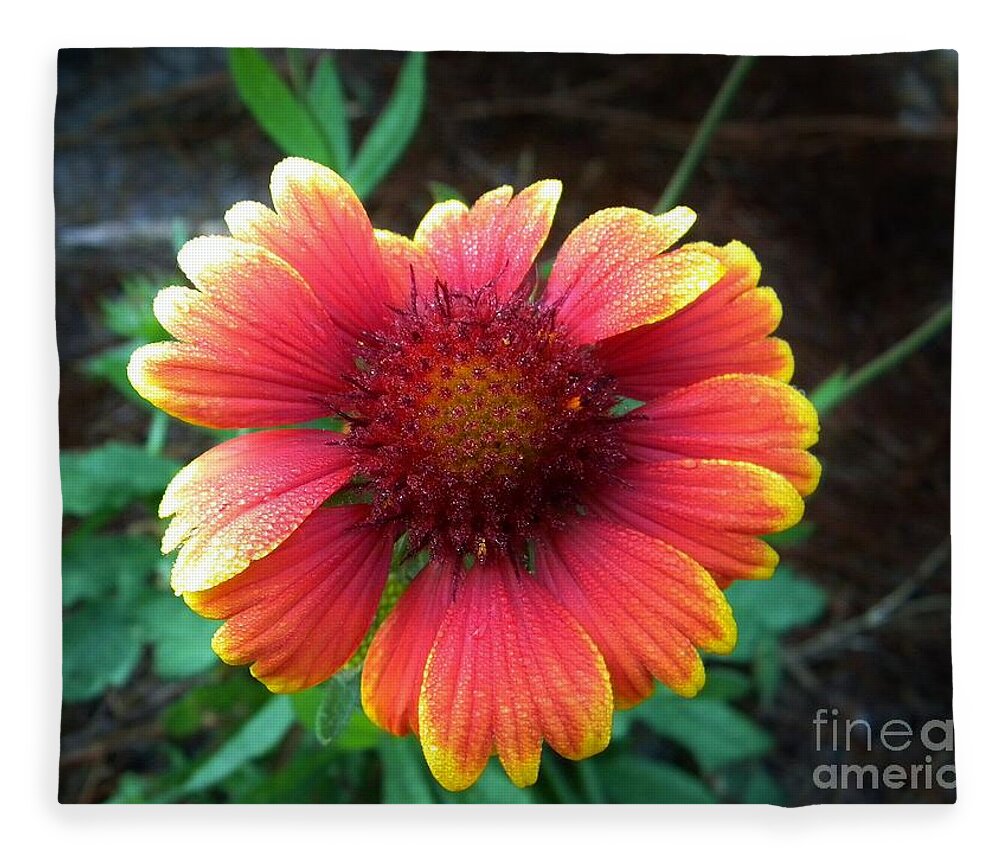 Flower Fleece Blanket featuring the photograph Morning Beauty #1 by Matthew Seufer