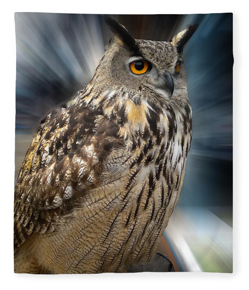Colette Fleece Blanket featuring the photograph Owl Alba Spain #2 by Colette V Hera Guggenheim
