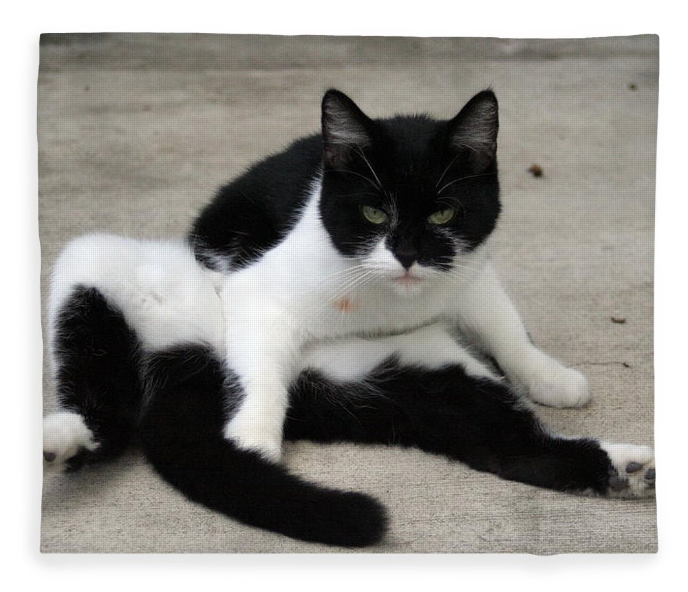 Cat Fleece Blanket featuring the photograph Black and White Tuxedo Cat by Valerie Collins