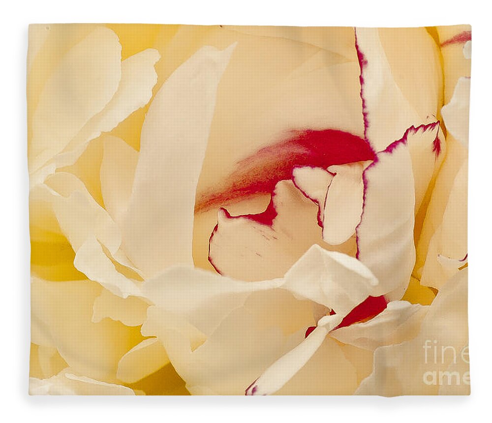 Flower Fleece Blanket featuring the photograph Peony by Steven Ralser