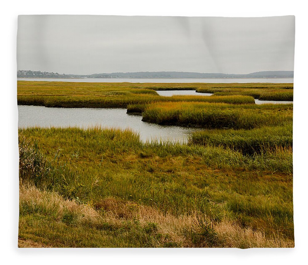 Massachusetts Fleece Blanket featuring the photograph Plum Island Marshes in Autumn 1 by Nancy De Flon