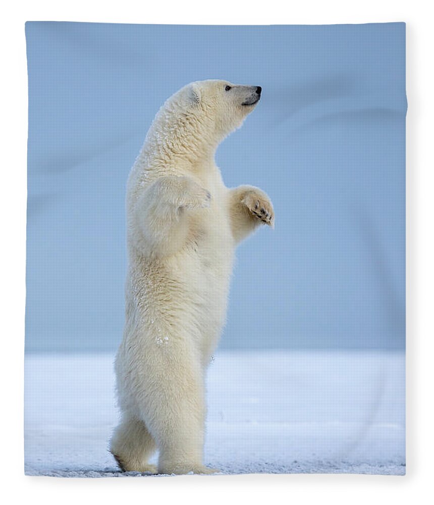 Snow Fleece Blanket featuring the photograph Polar Bear by Sylvain Cordier