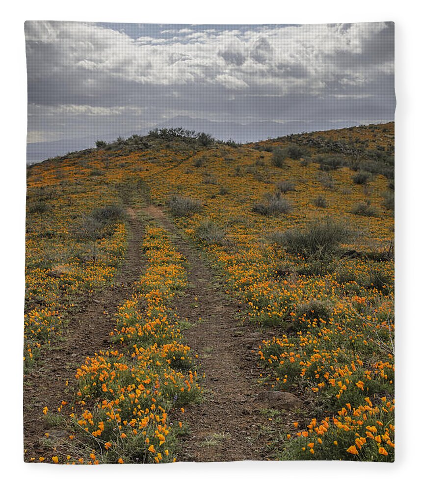 Poppies Fleece Blanket featuring the photograph Poppies at Peridot Mesa by Tamara Becker