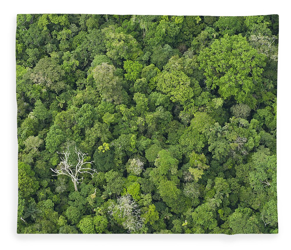 Feb0514 Fleece Blanket featuring the photograph Rainforest Canopy Yasuni Ecuador #1 by Pete Oxford