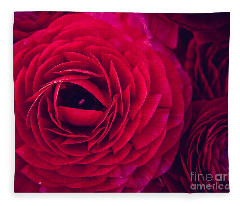 Ruby Fleece Blanket featuring the photograph Ruby Red #1 by Ana V Ramirez