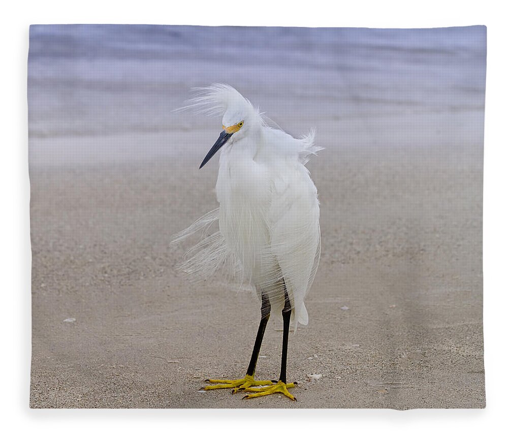 Egret Fleece Blanket featuring the photograph Snowy Egret at the Beach by Kim Hojnacki