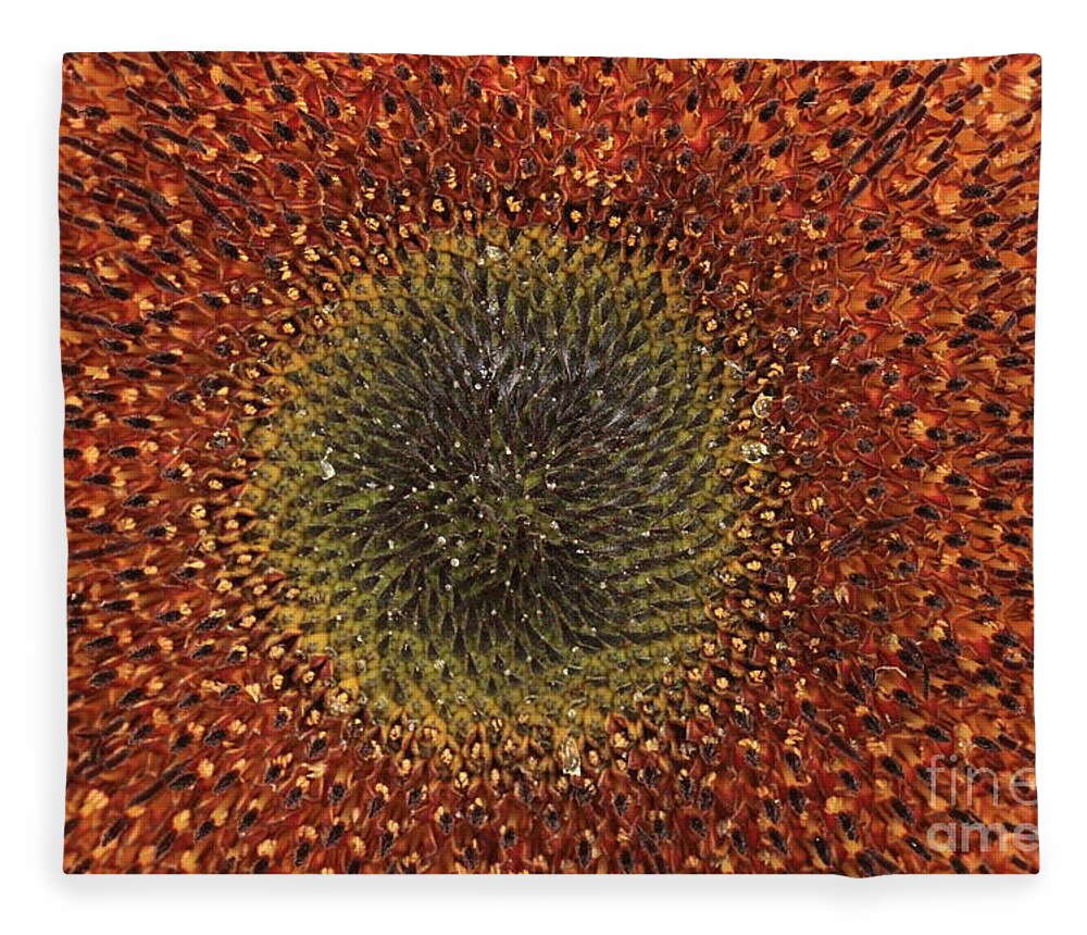 Background Fleece Blanket featuring the photograph Sunflower Seeds by Amanda Mohler
