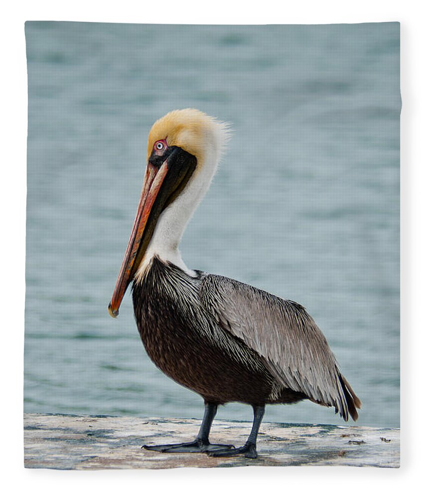 Usa Fleece Blanket featuring the photograph The Pelican by Hannes Cmarits