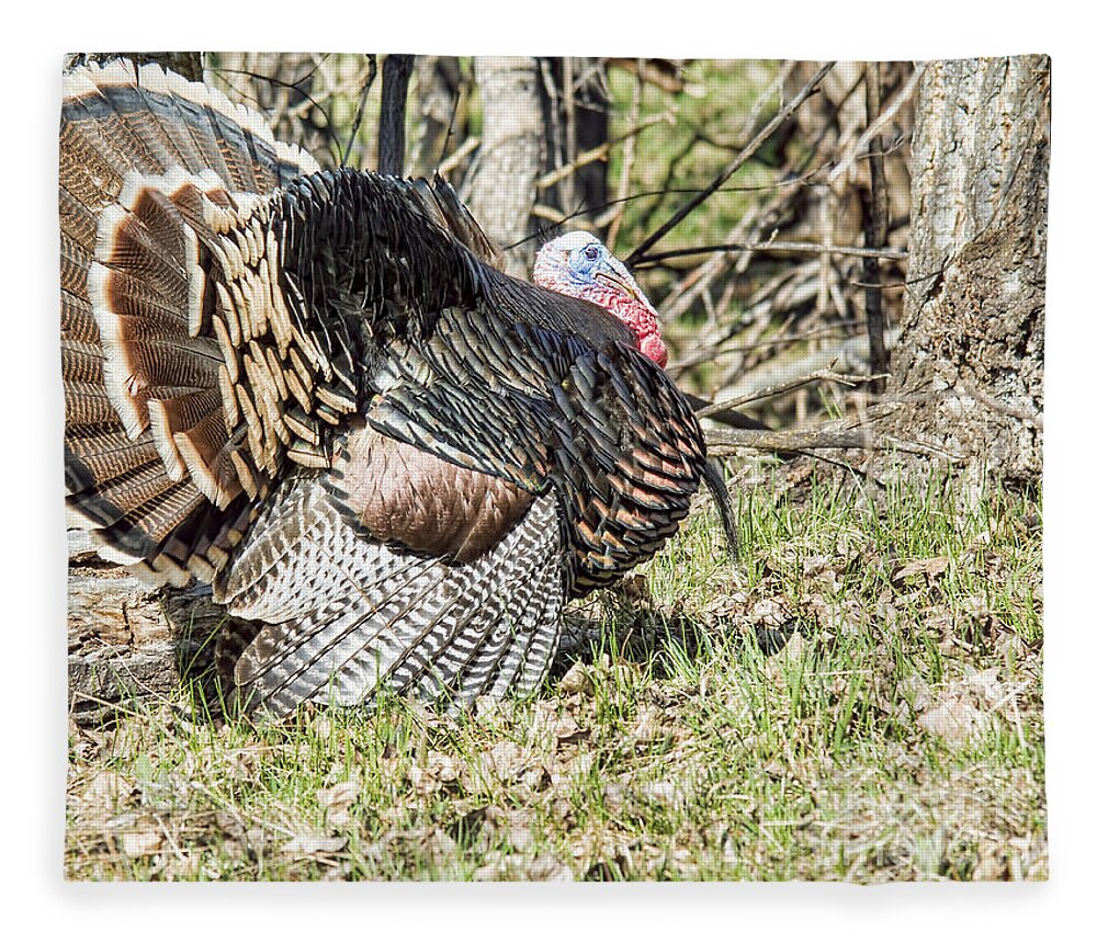 Turkey Fleece Blanket featuring the photograph Turkey Tom #1 by Gary Beeler